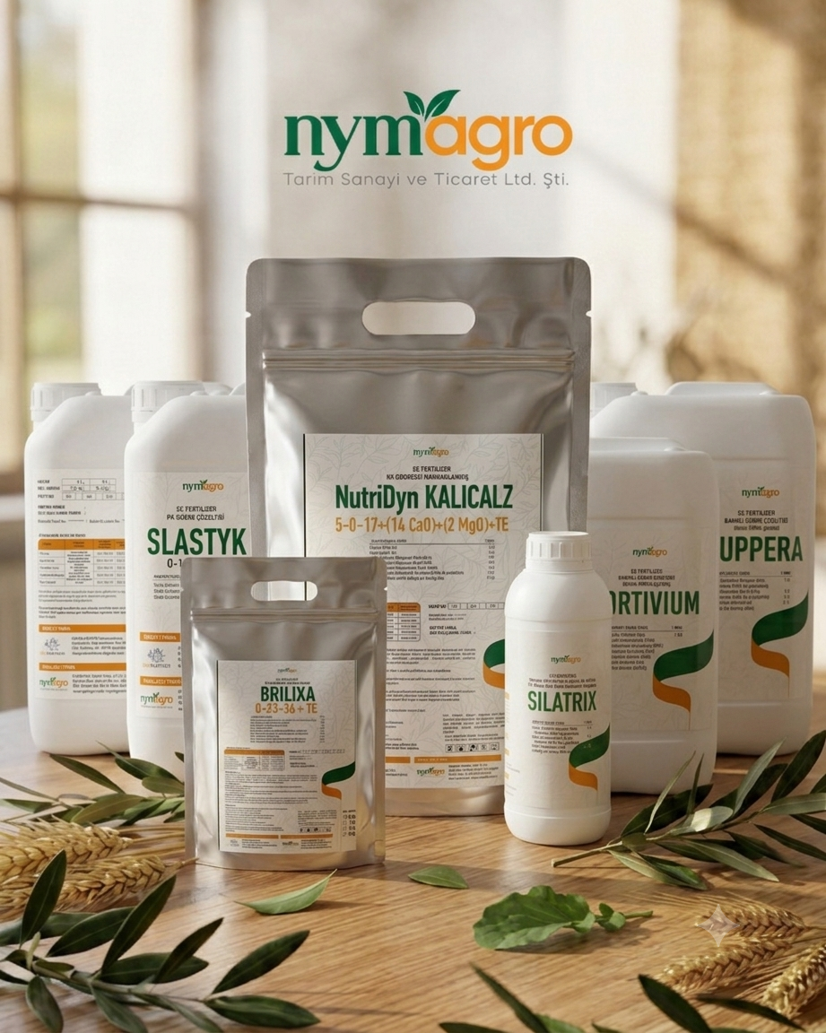 Nymagro galeri